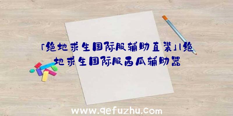 「绝地求生国际服辅助直装」|绝地求生国际服西瓜辅助器